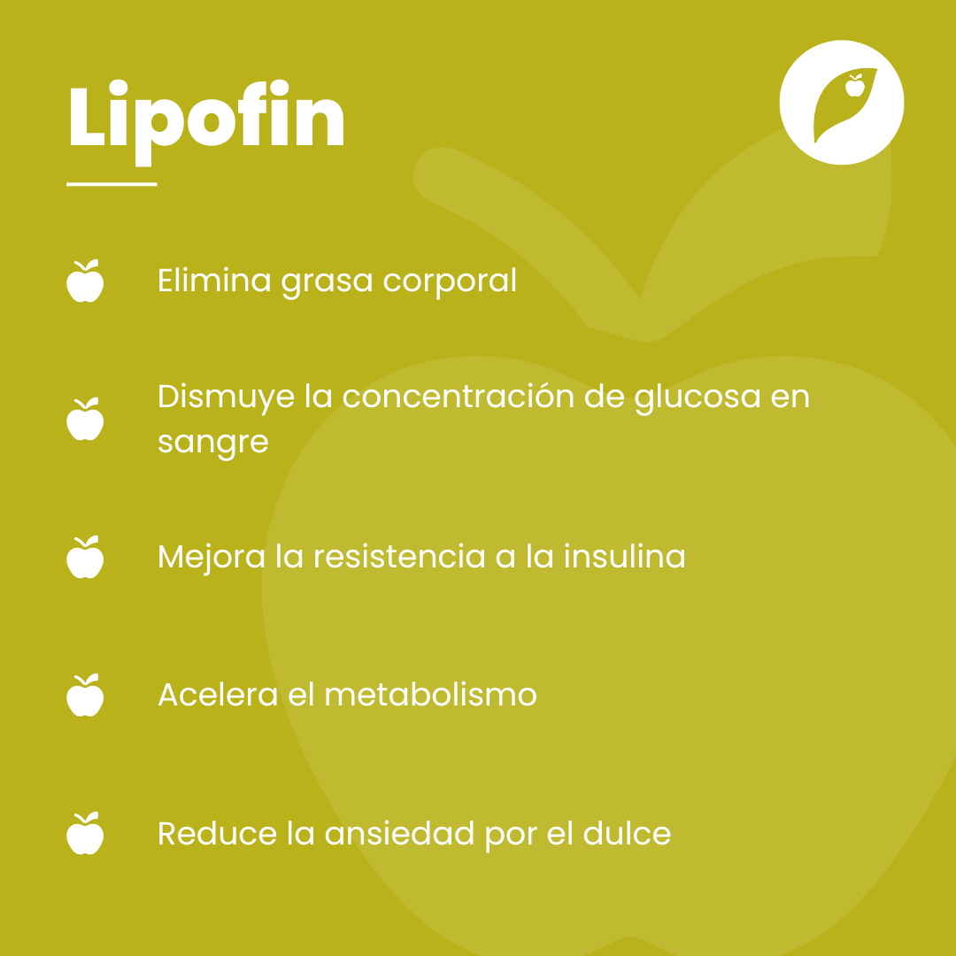 Lipofin