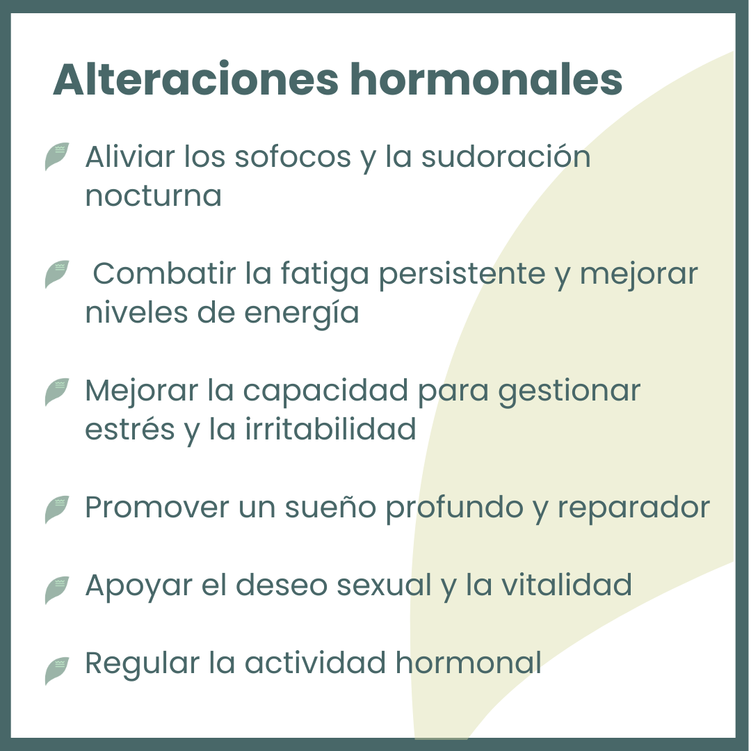 Tratamiento Hambre Emocional