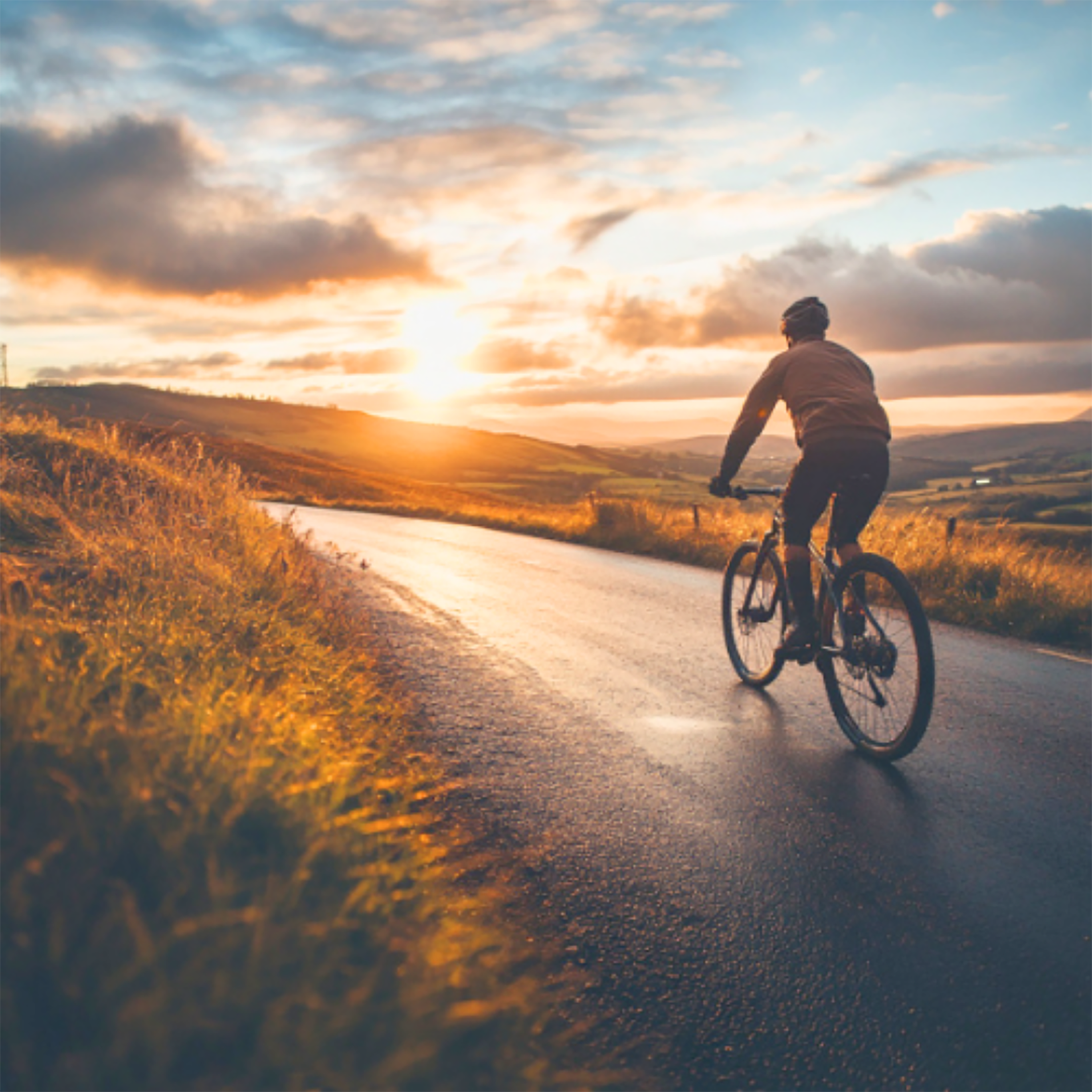 Aveost Forte en polvo