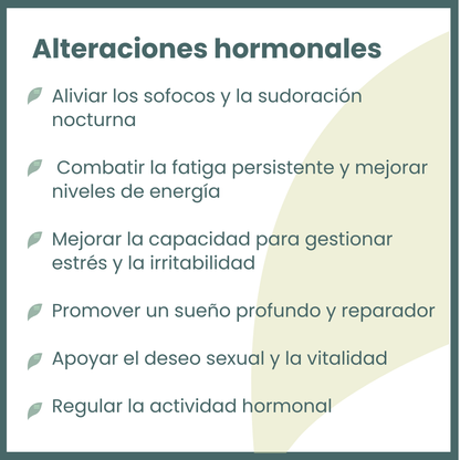 Tratamiento Hambre Emocional